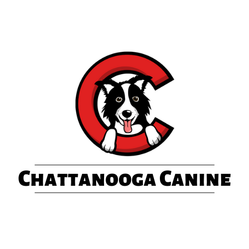 Chattanooga Canine Logo
