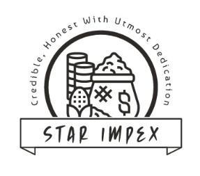 STAR IMPEX Logo