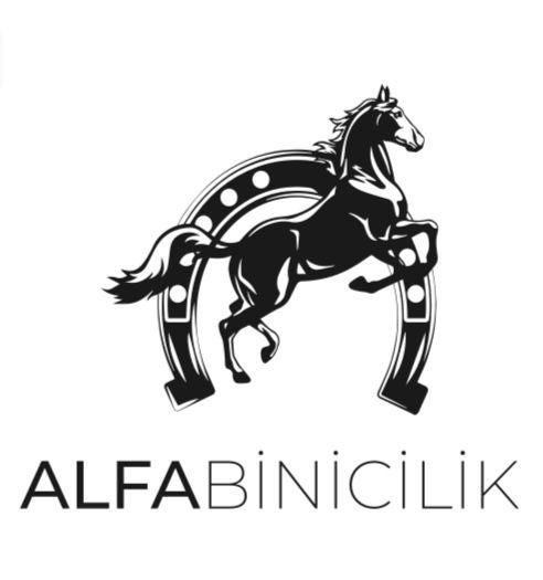 Alfabinicilik Logo