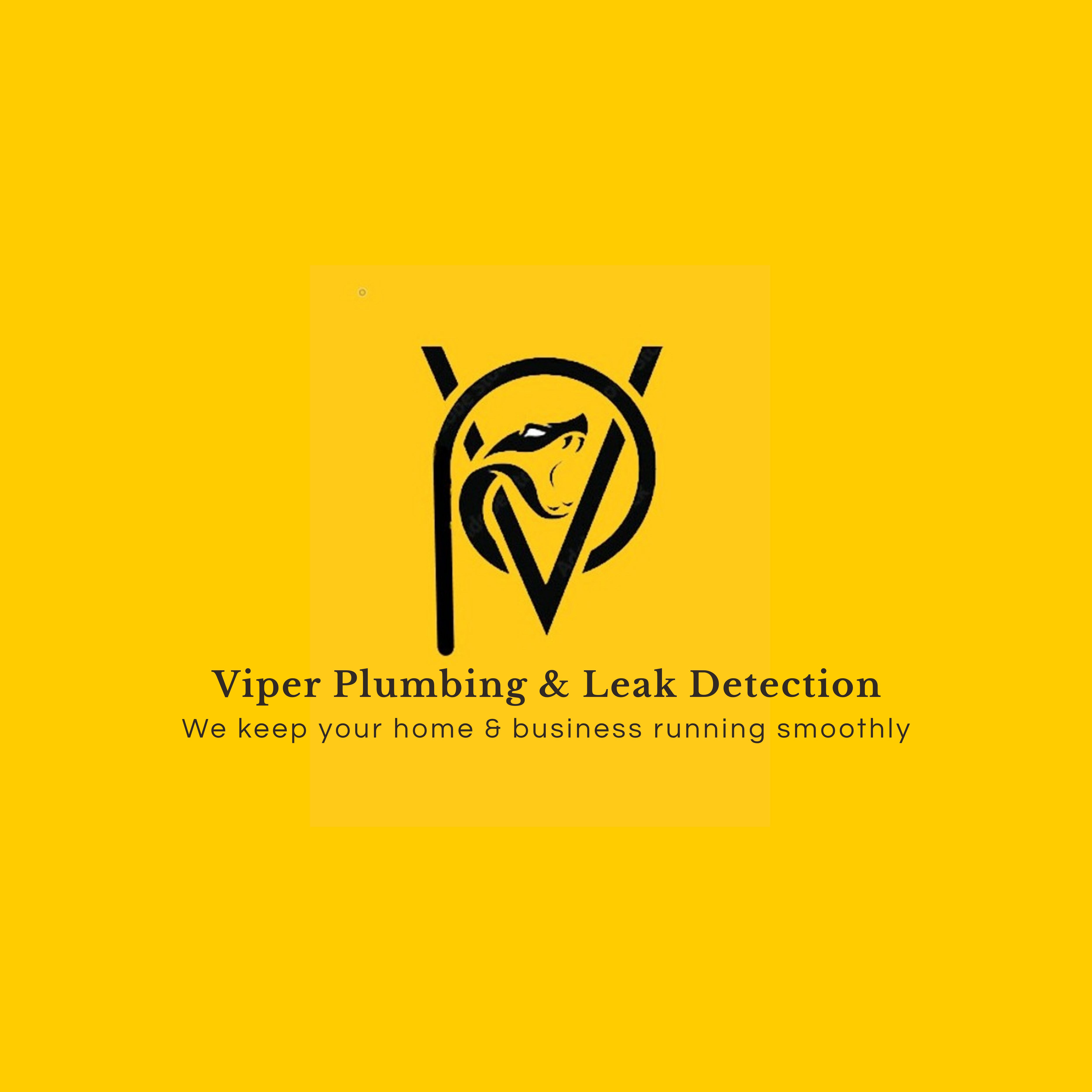 Viper Plumbing & Leak Detection Services Logo