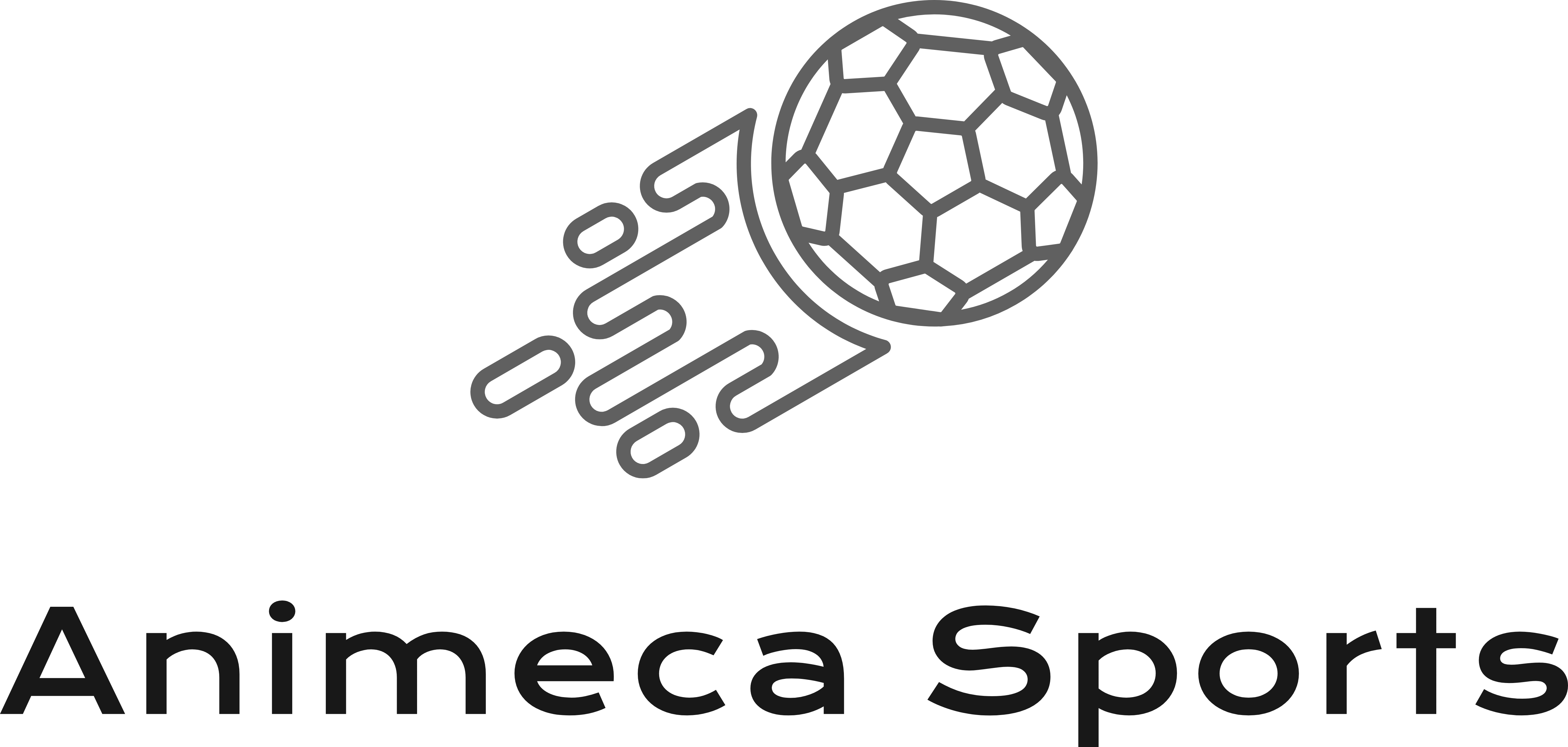Animeca Sports Logo