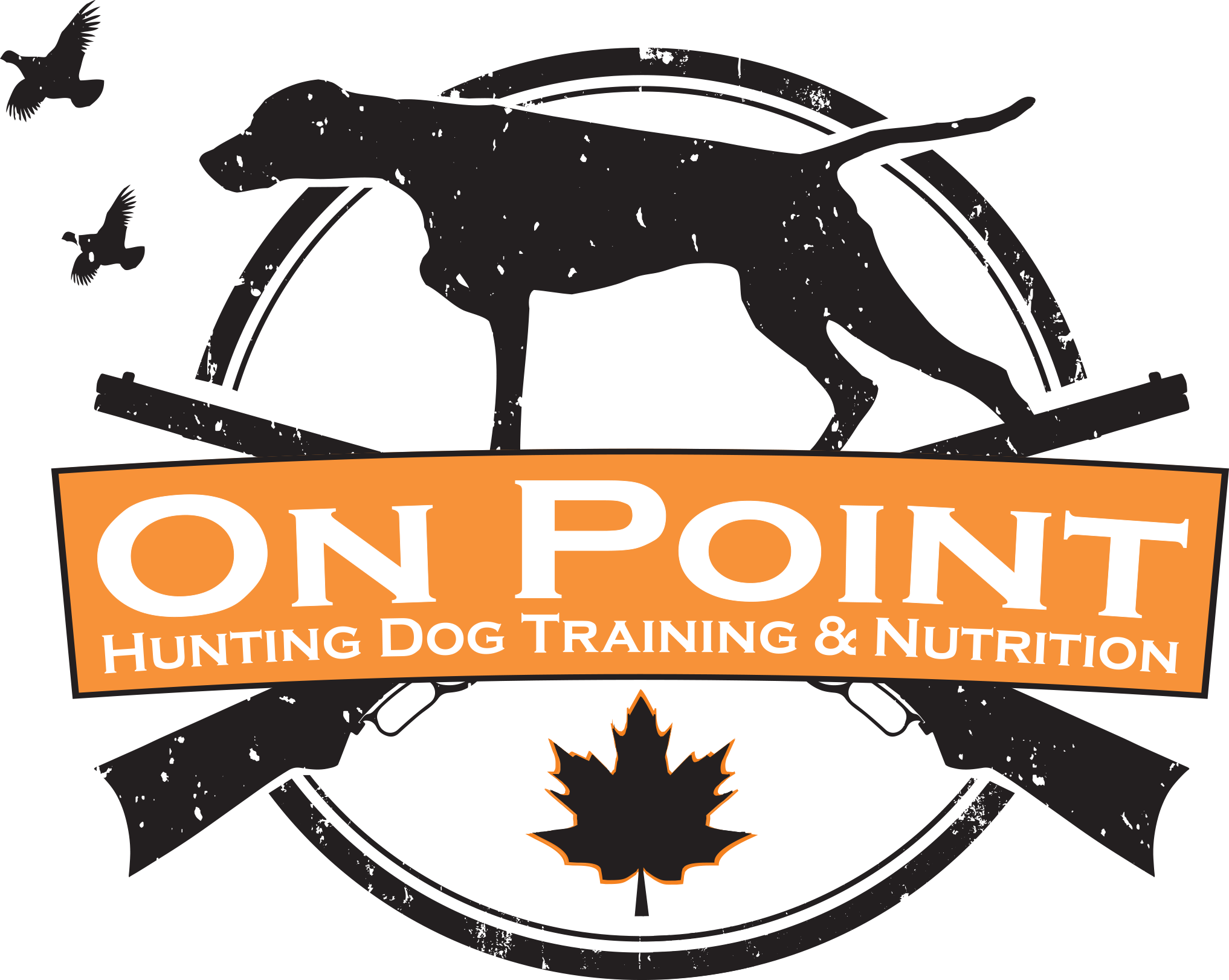 OnPoint Training and Nutrition Logo