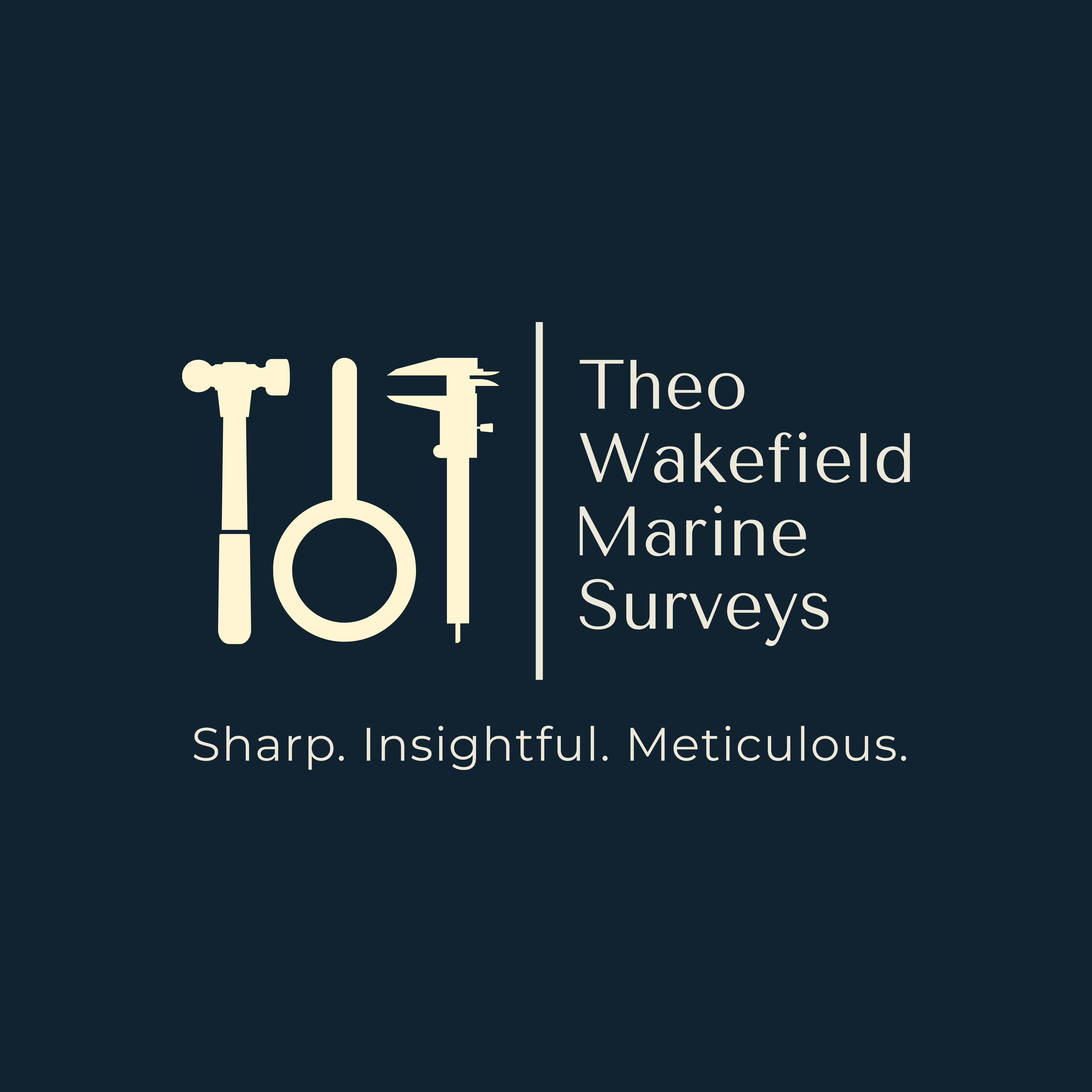 Theo Wakefield Marine Surveys Logo