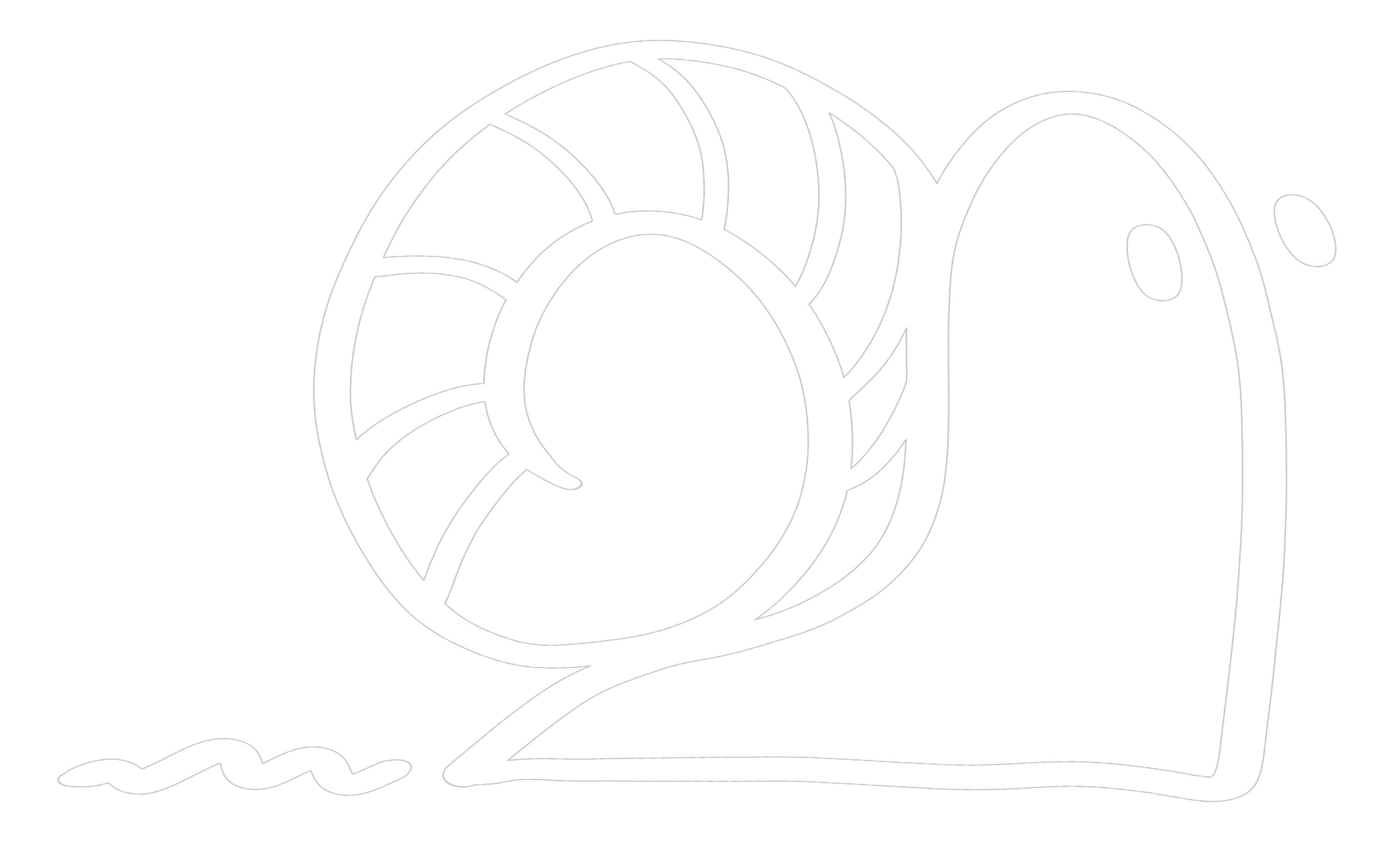 Snail Trail Apparel Company Logo
