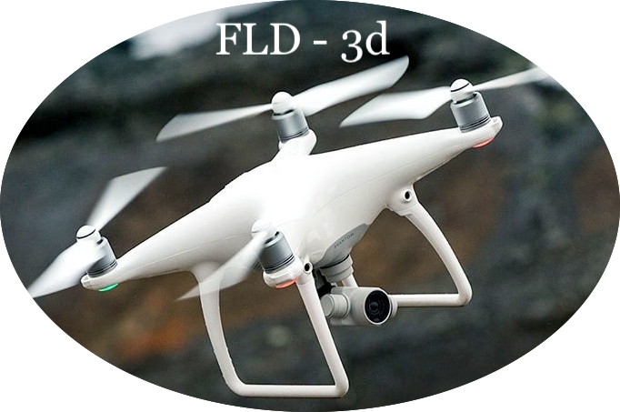 FL Drone 3d Modeling Logo