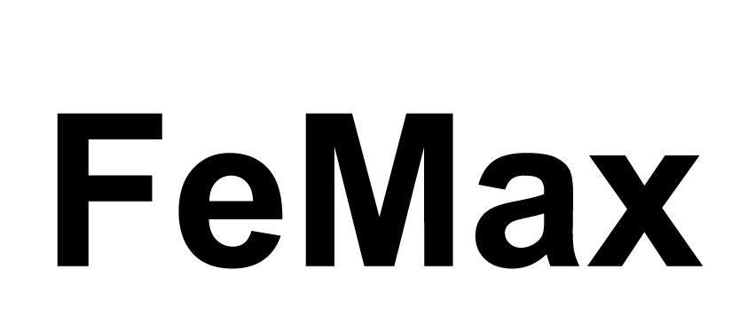 FeMax Stahlhallen Logo