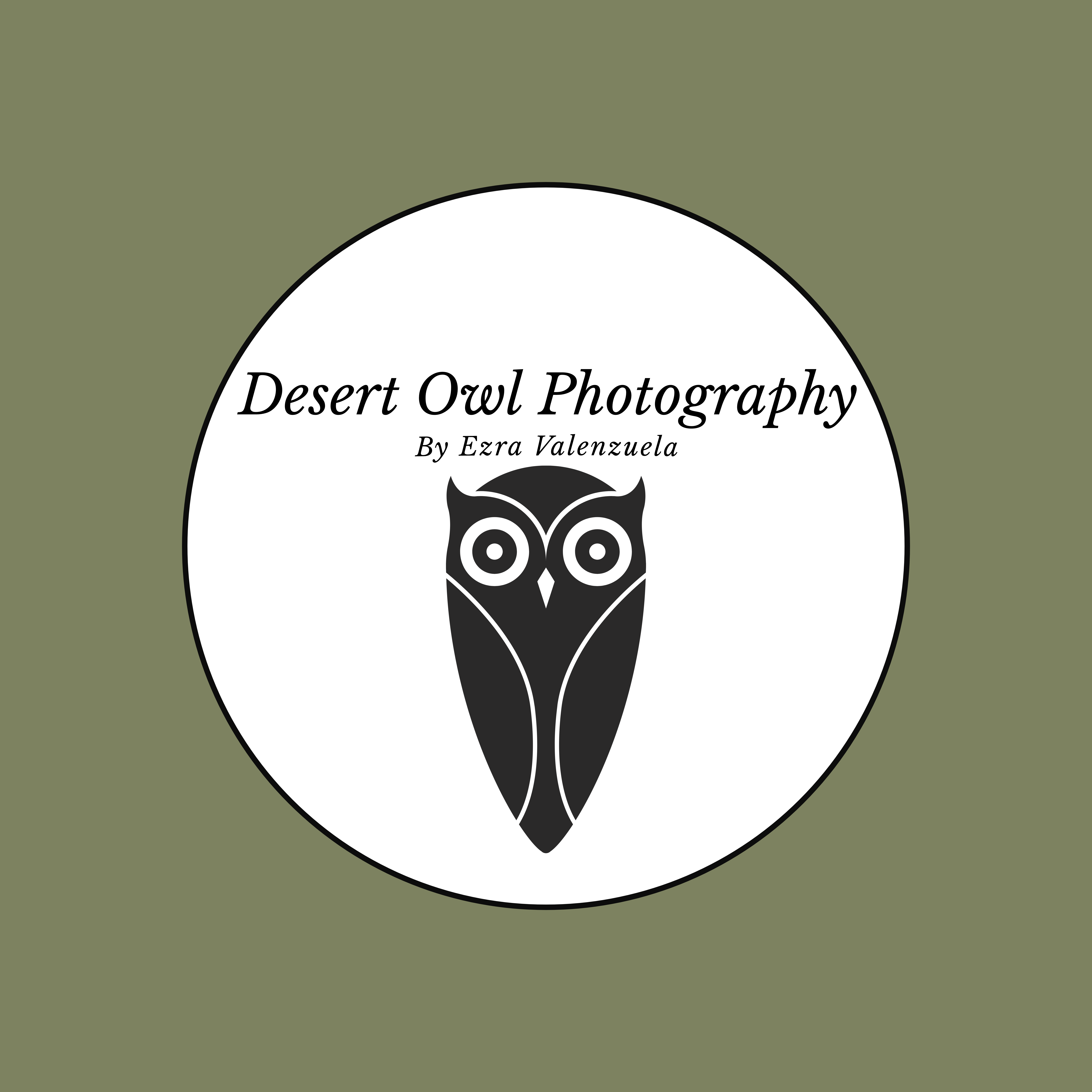 Desert Owl Photography LLC Logo