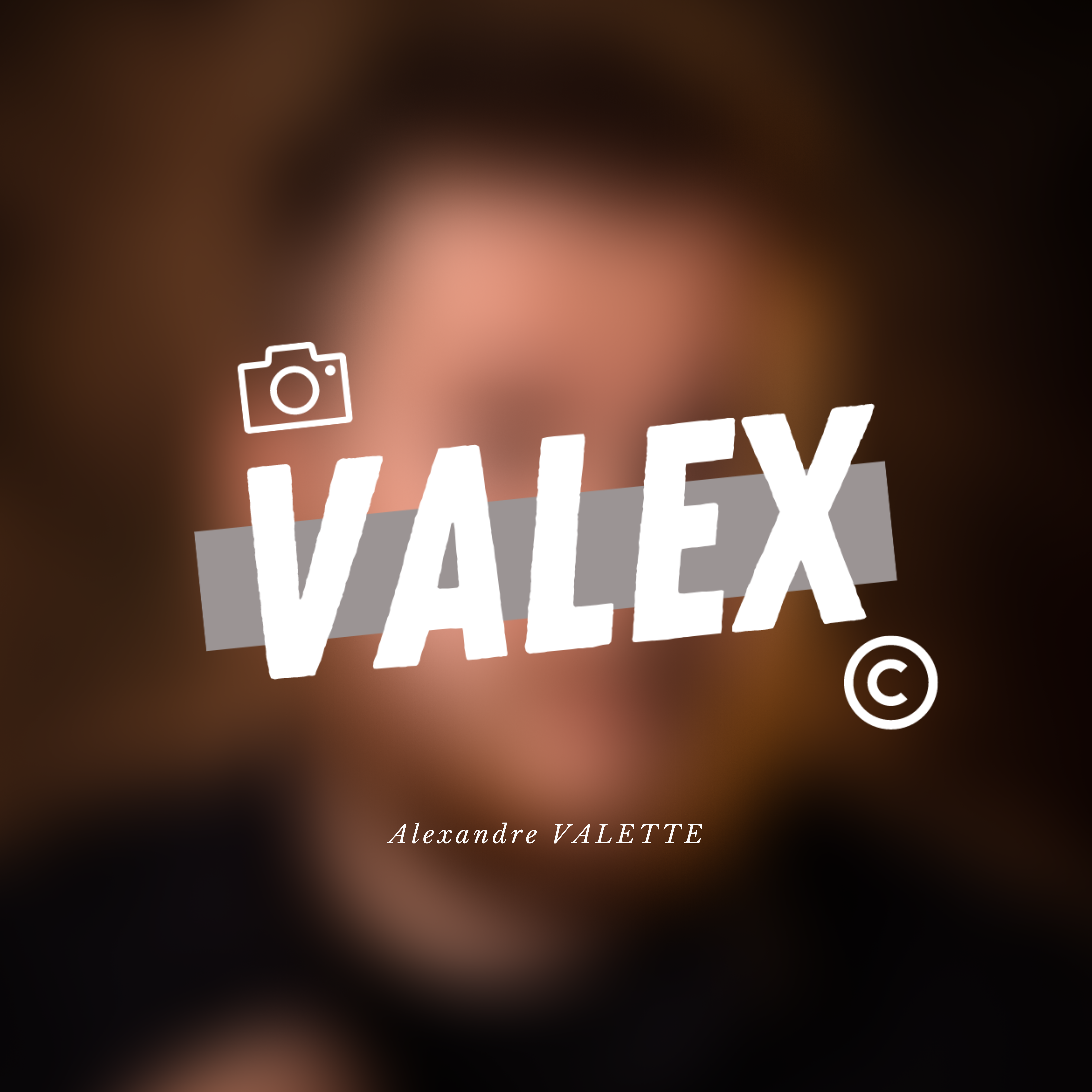 VALEX Logo