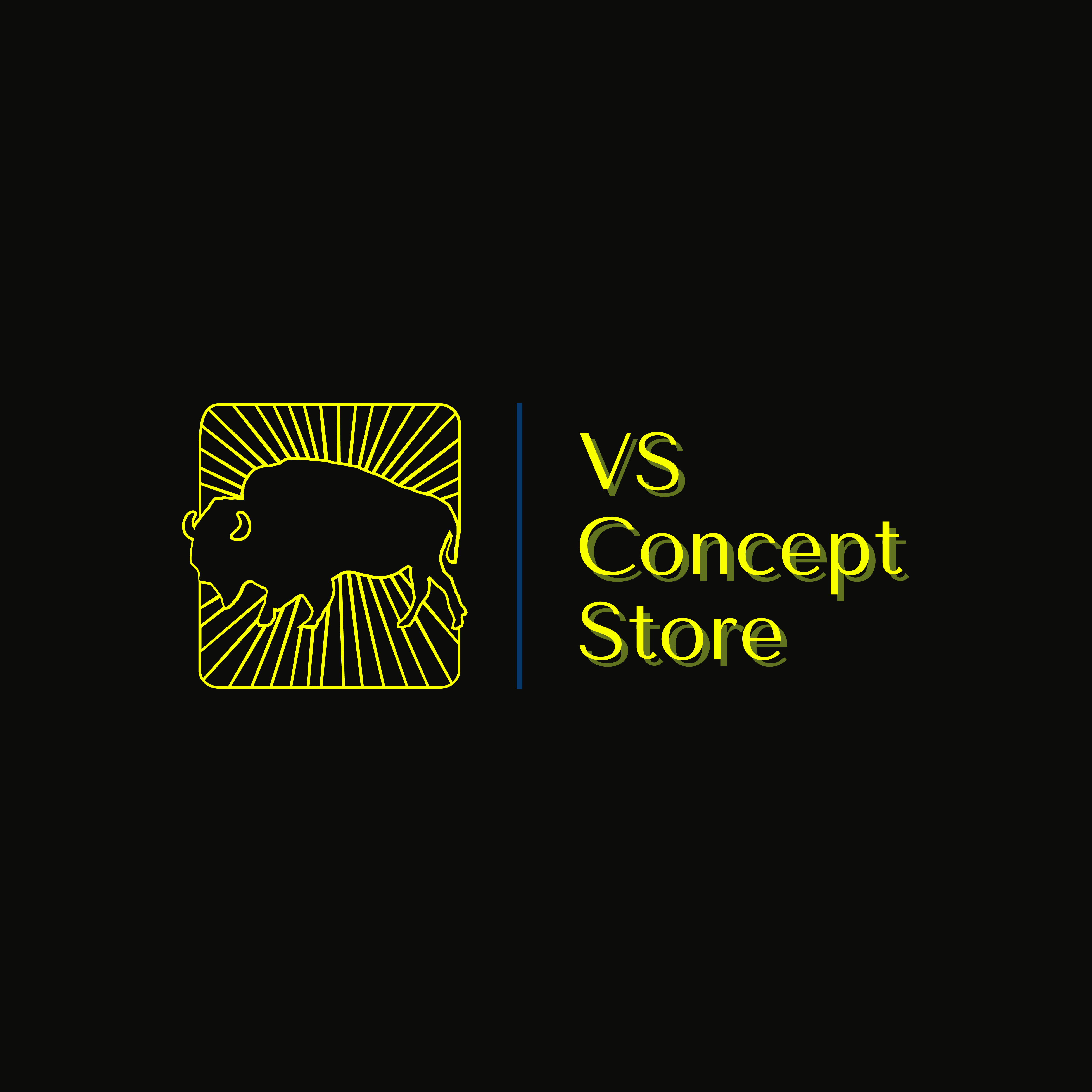 VS Concept Store Logo