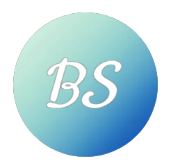 Bookingstreets Logo