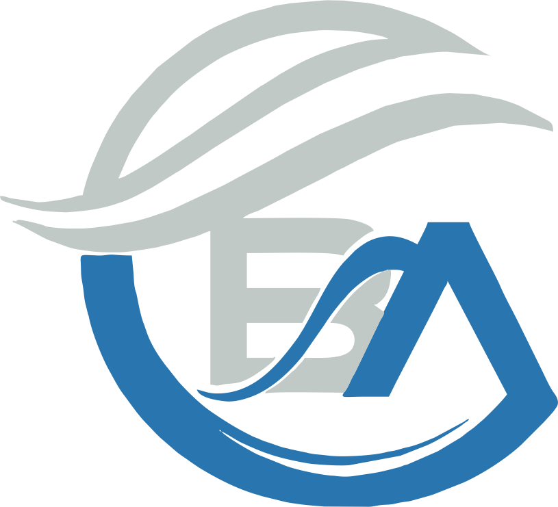 BusAcTa Advisors Logo