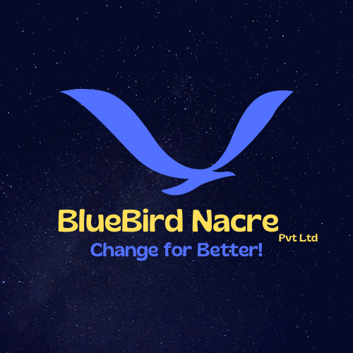 BlueBird Nacre Pvt Ltd. import export trade data analytics Logo