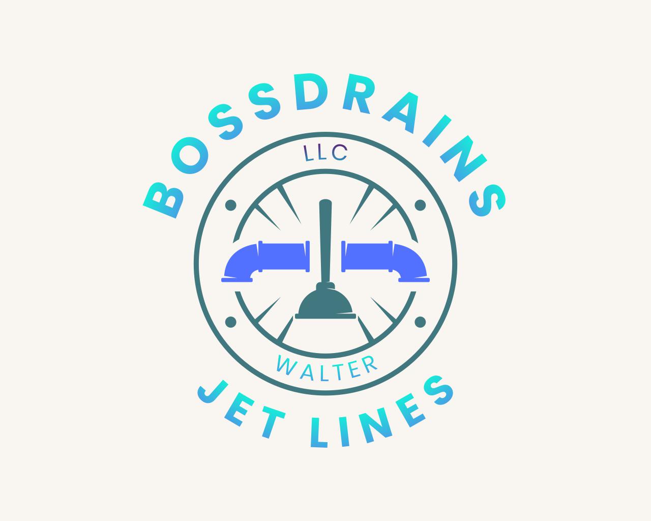 Boss Drains LLC Logo
