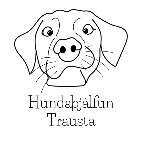 Hundaþjálfun Trausta Logo