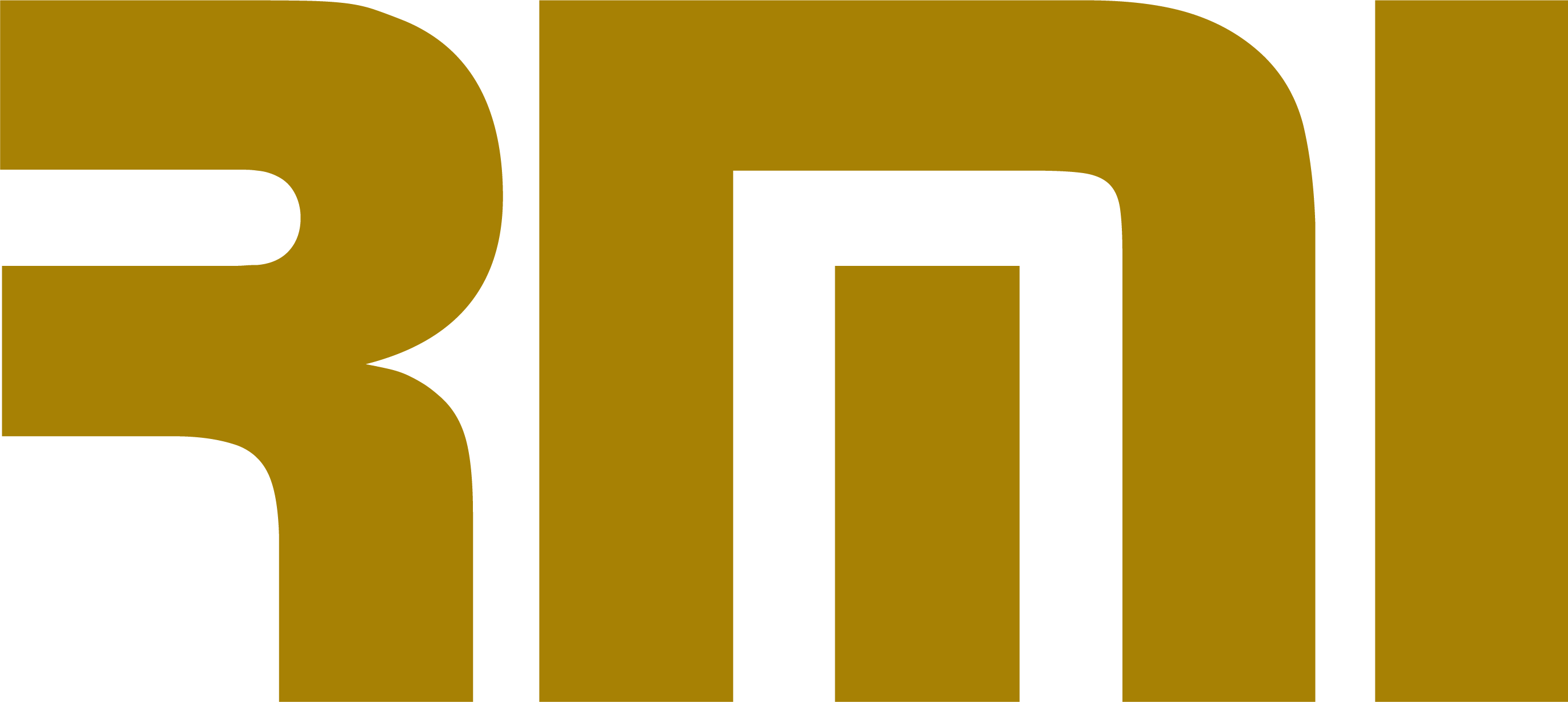 RMI Auto Detail Studio Logo