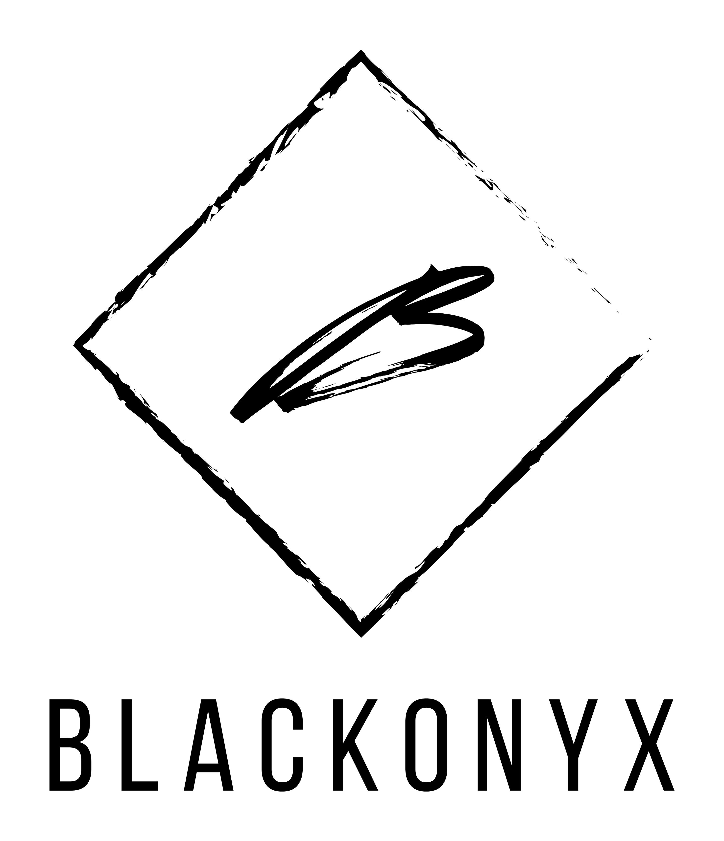 BLACKONYX L.L.C Logo