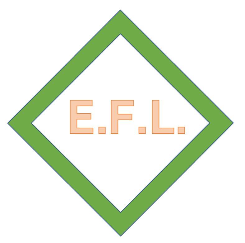 Eoin Flynn Limited Logo