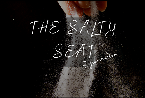 The Salty Seat Logo