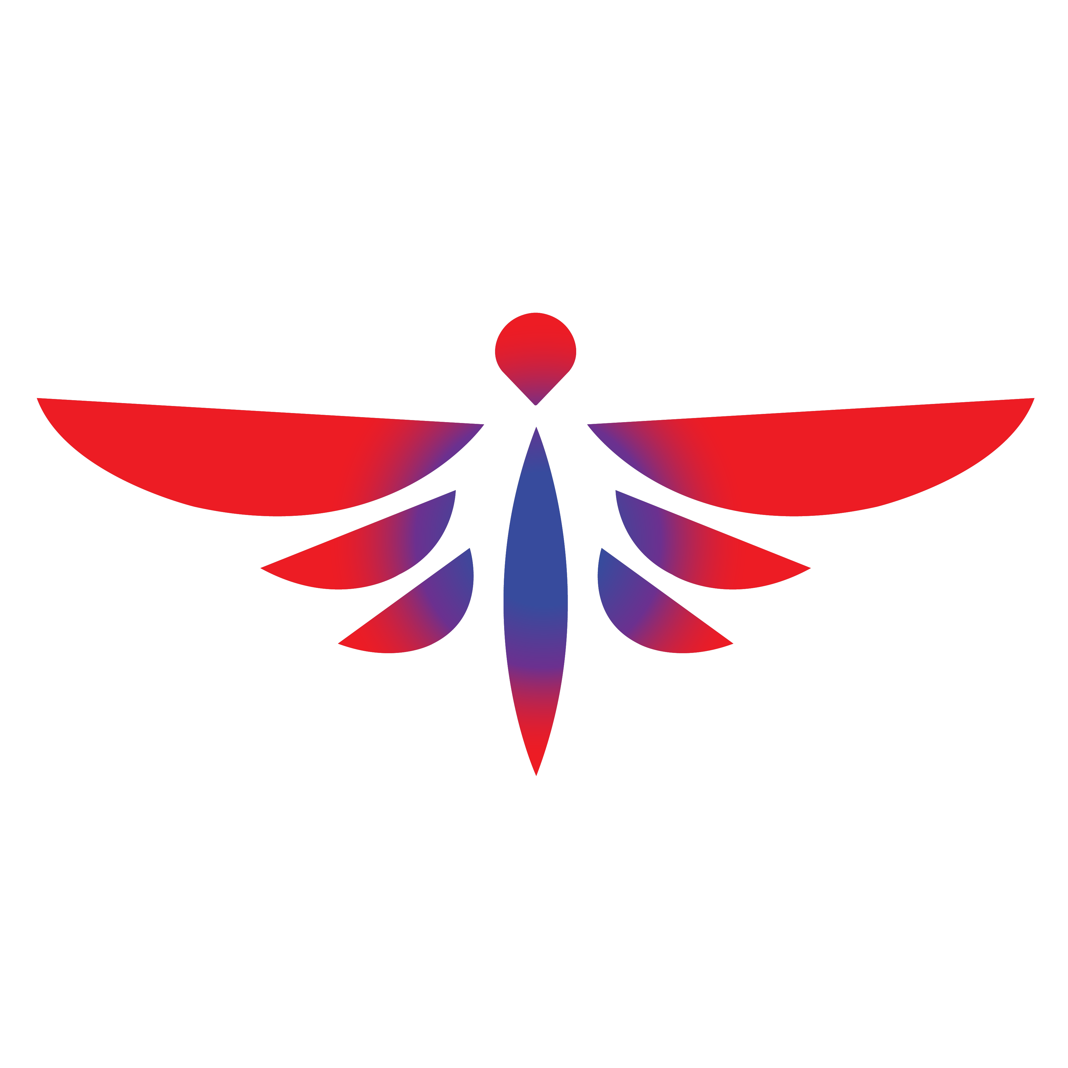 Dezier Air LLC Logo