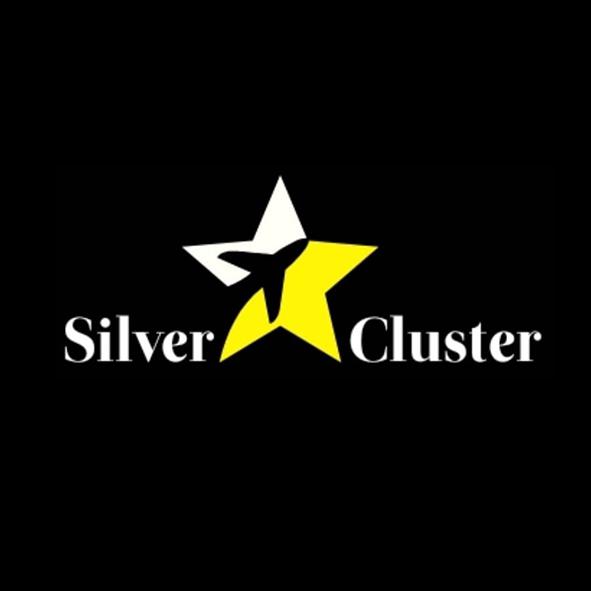 Silver Star Cluster Logo