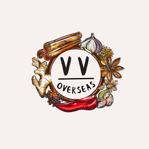 V V OVERSEAS Logo