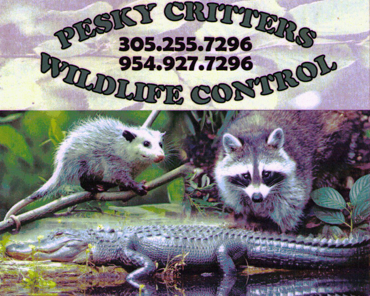 Pesky Critters Wildlife Control Logo