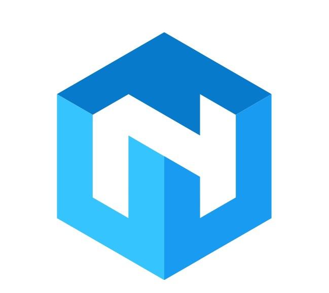Nexus Software Solutions Logo