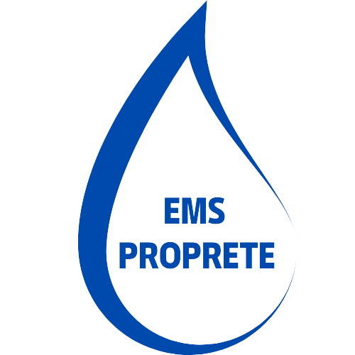 EMS PROPRETE Logo