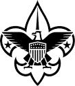 Troop 211 Houston Logo