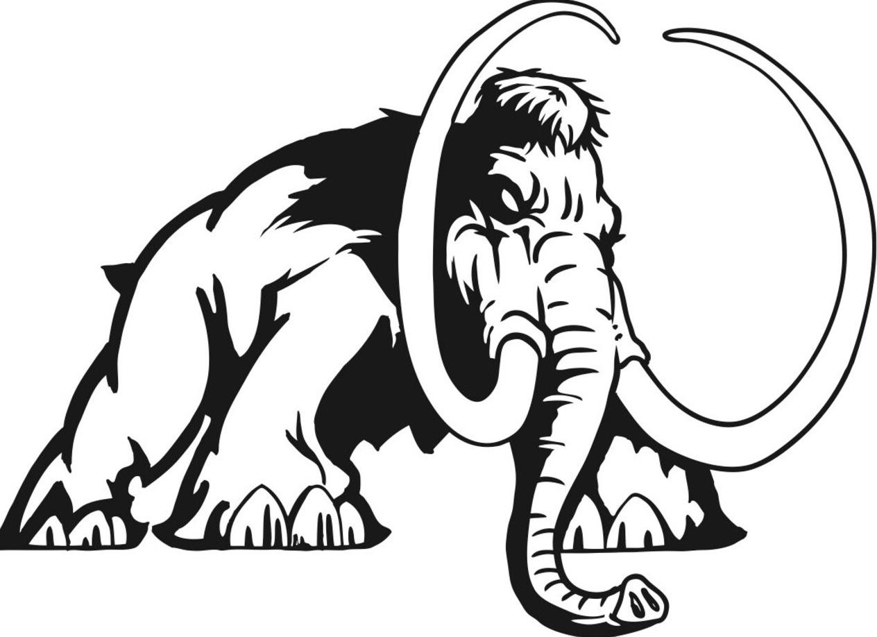 Mammoth Recreation Equipment Logo