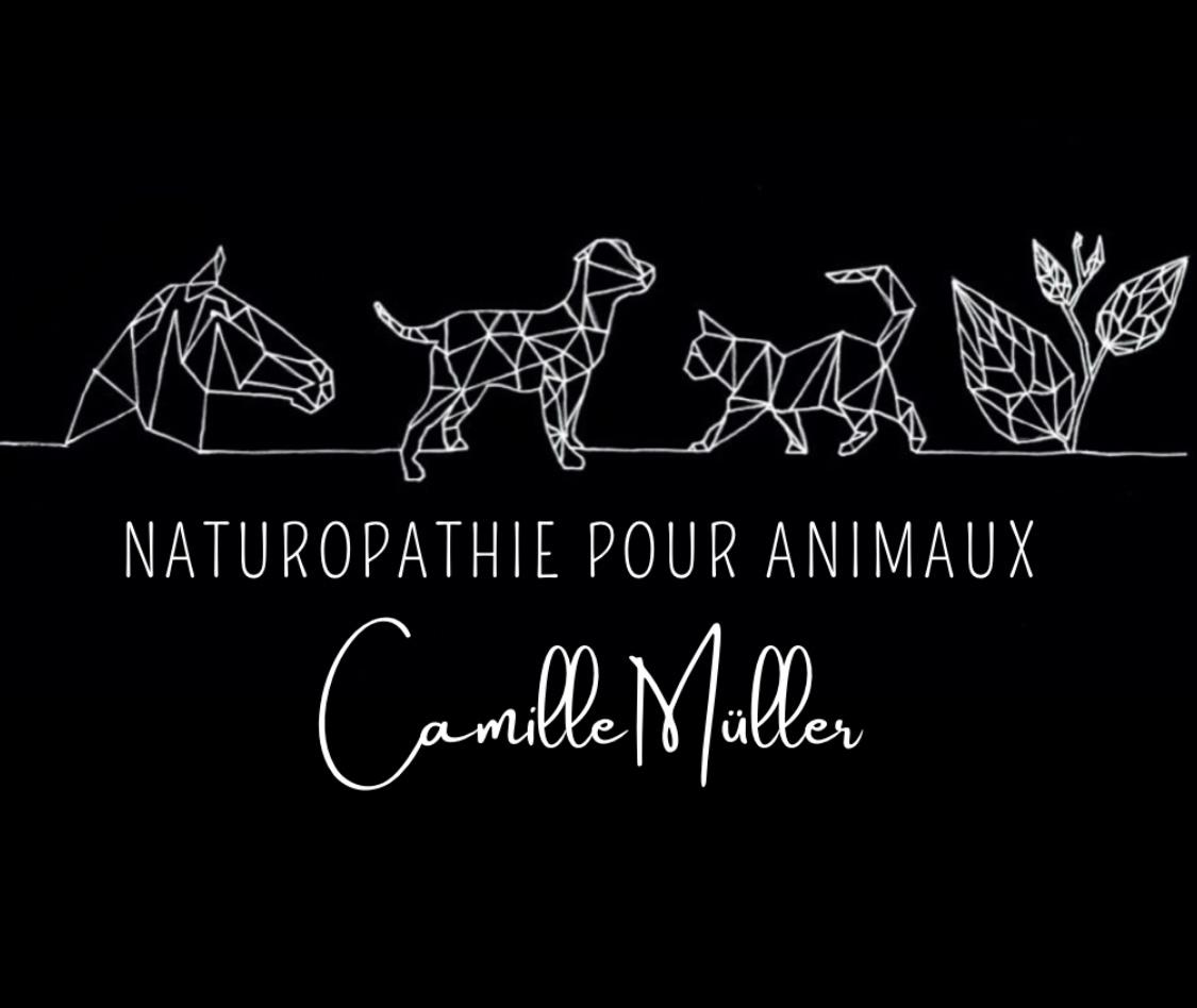 CM - Naturopathie animale Logo